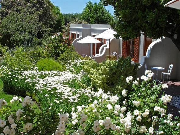 Glen Avon - Garden 